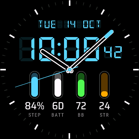Gauge Glass watch face